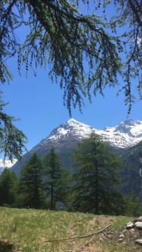 Appartamento Haus Valaisia - Randa Bei Zermatt Esterno foto